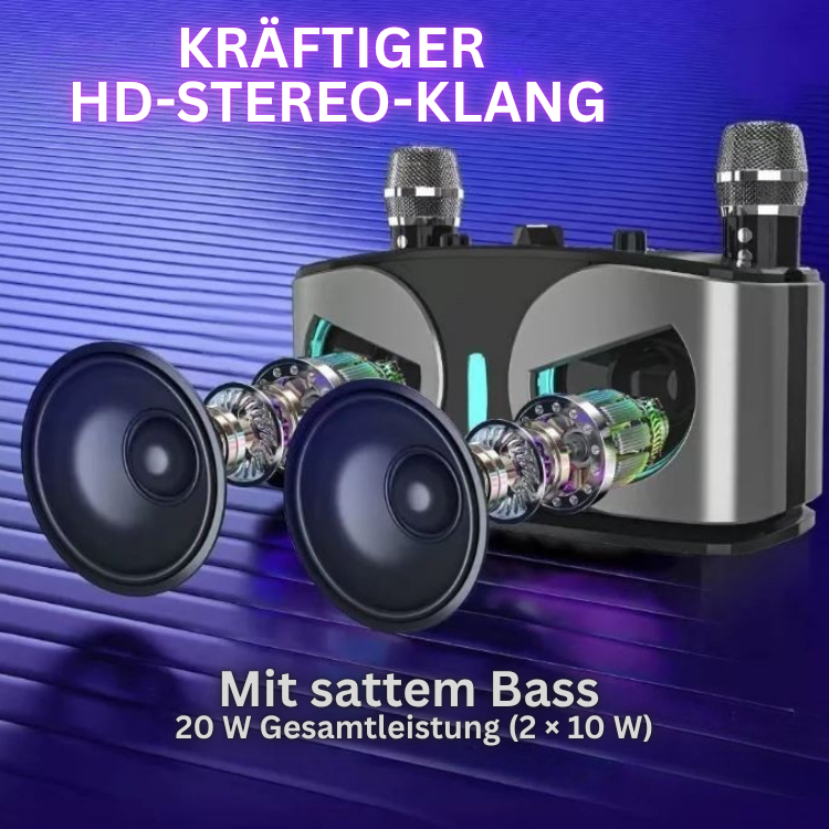Tragbarer 20W Bluetooth Lautsprecher mit Mikrofonen für Karaoke und Outdoor-Events