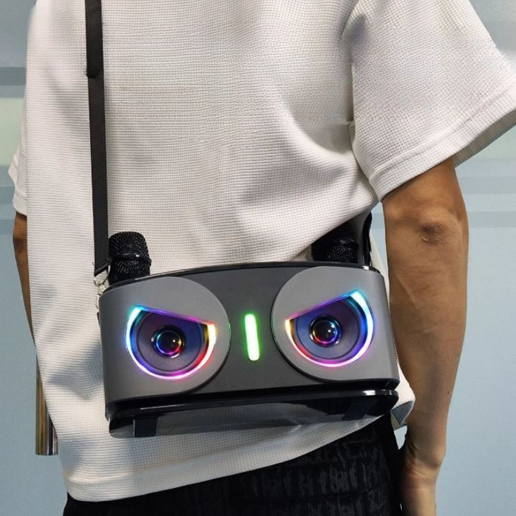 Tragbarer 20W Bluetooth Lautsprecher mit Mikrofonen für Karaoke und Outdoor-Events