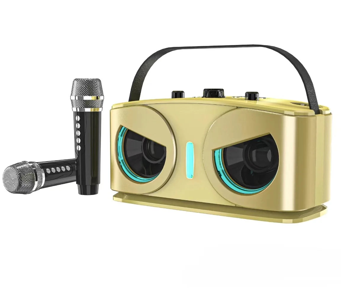 Tragbarer 20W Bluetooth Lautsprecher mit Mikrofonen für Karaoke und Outdoor-Events