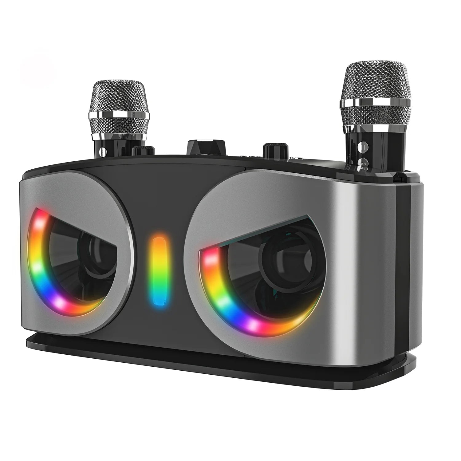 Tragbarer 20W Bluetooth Lautsprecher mit Mikrofonen für Karaoke und Outdoor-Events