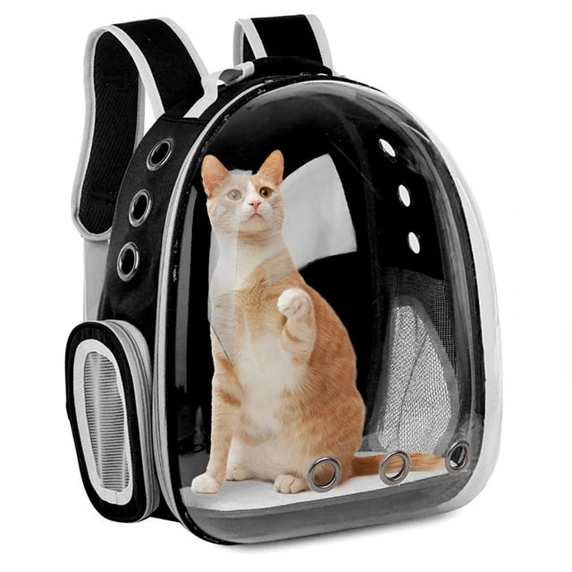 Transparenter Haustier Rucksack mit Belüftung für Katzen und kleine Hunde