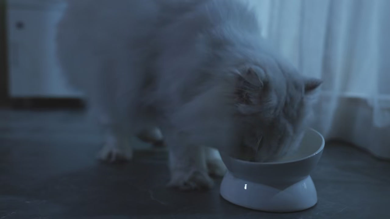 Automatischer Katzenfutterspender 4L für Katzen und Hunde mit Timer